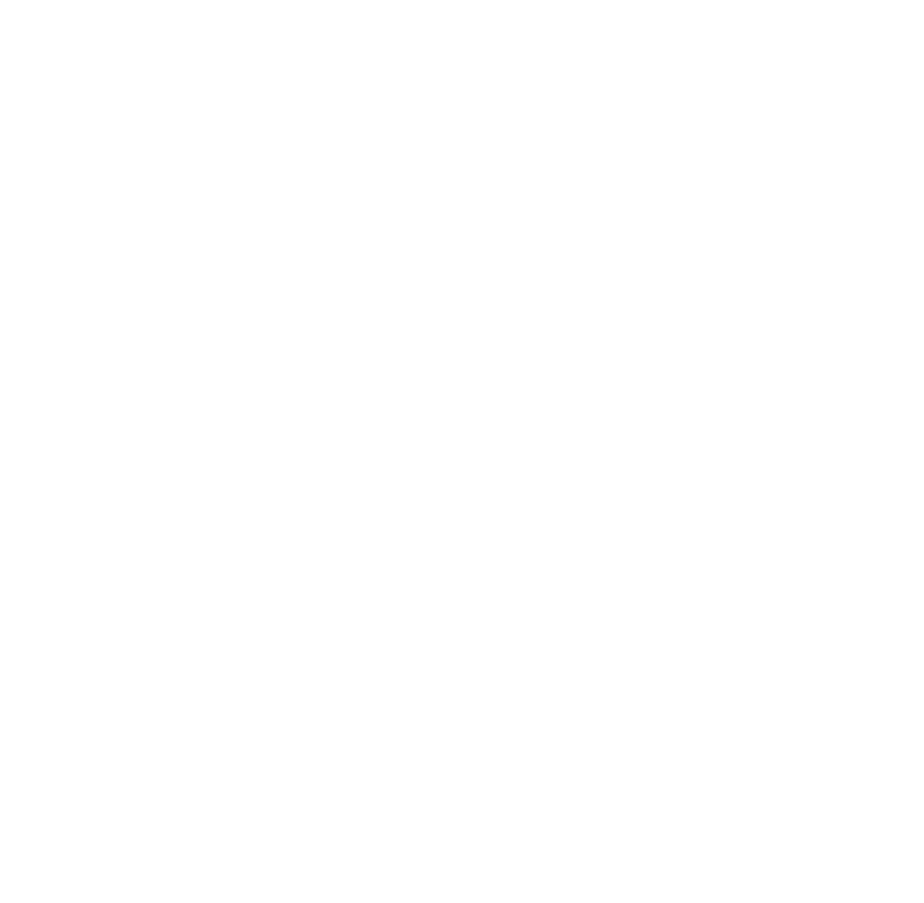 verrodata logo